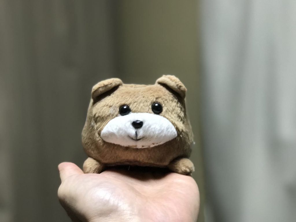 ポートレイト画像