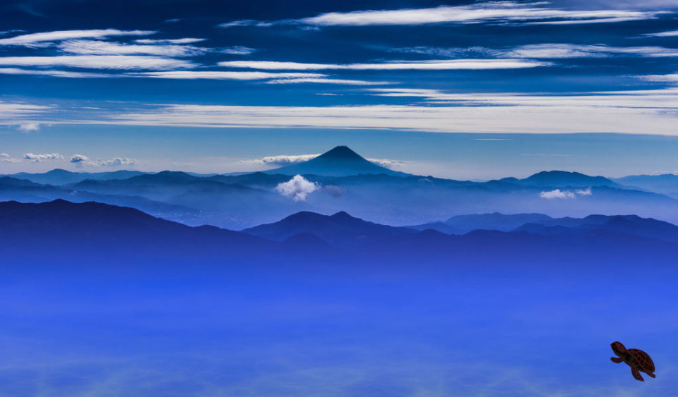 ブログ_TOP_富士とカメ画像