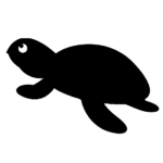 ウメガメ_アイコン