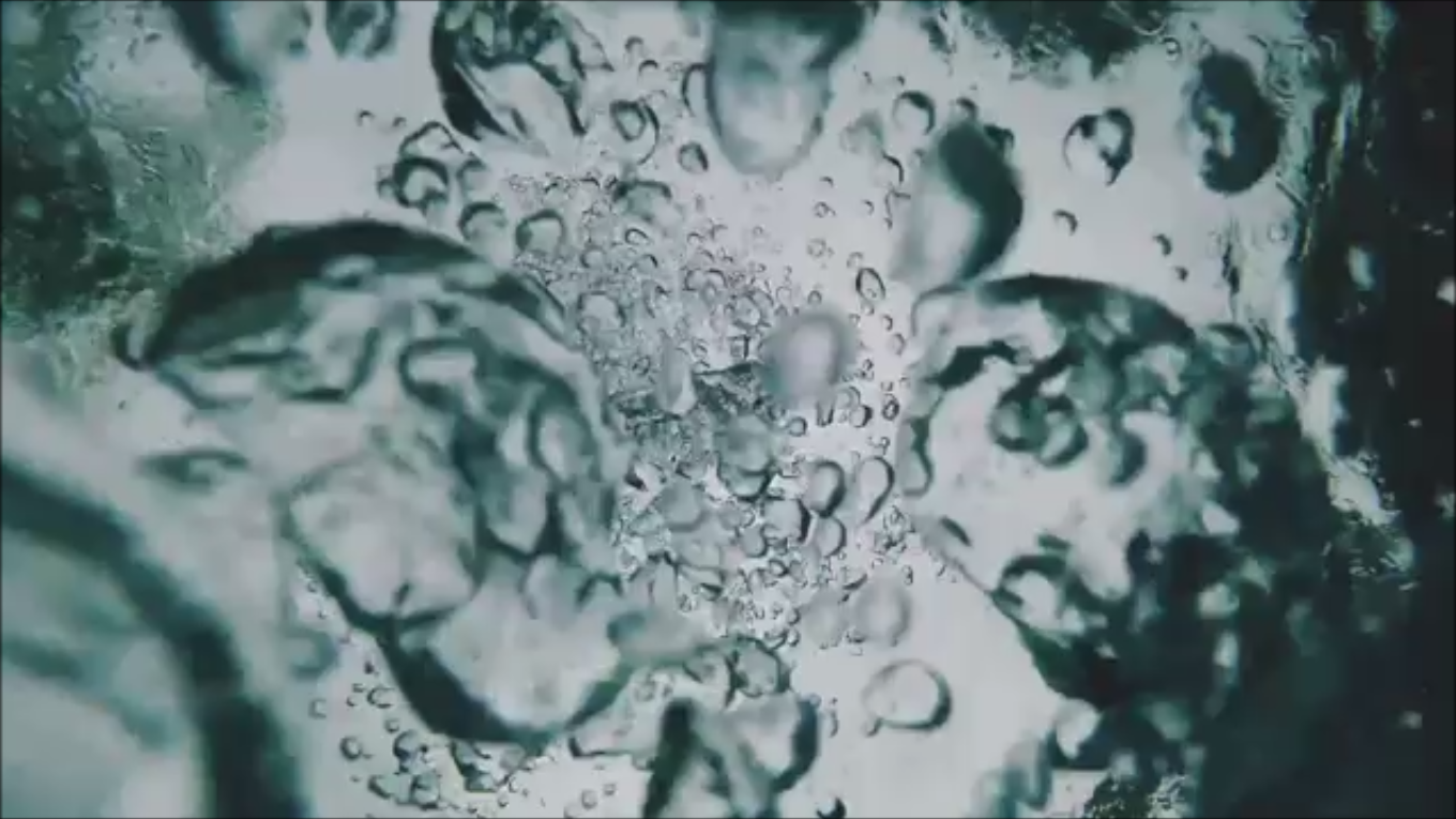 ウメガメの歩み